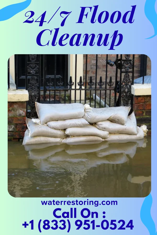 24/7 Flood Cleanup in Sullivan's Island, SC