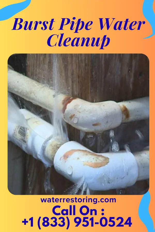 Burst Pipe Water Cleanup in Sullivan's Island, SC