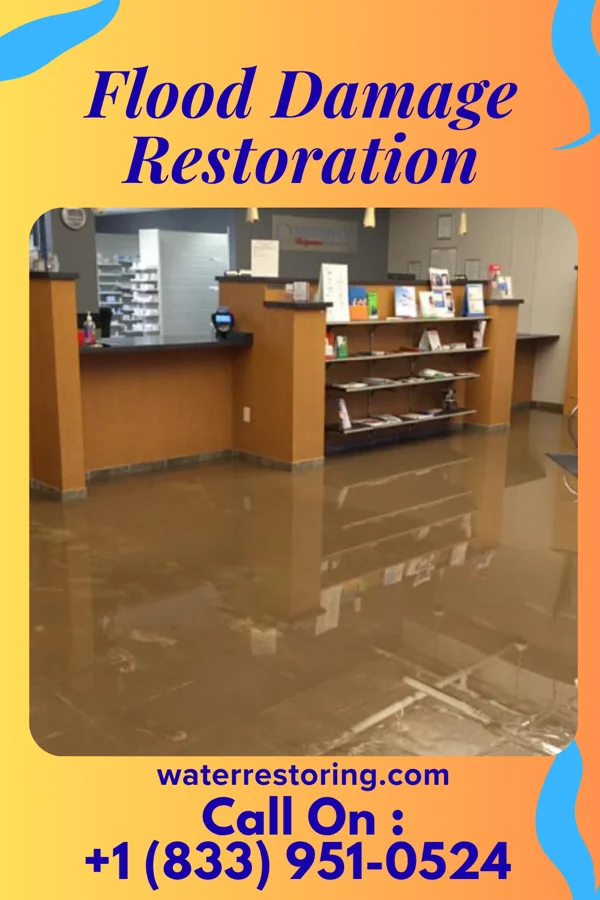 Flood Damage Restoration in Sullivan's Island, SC
