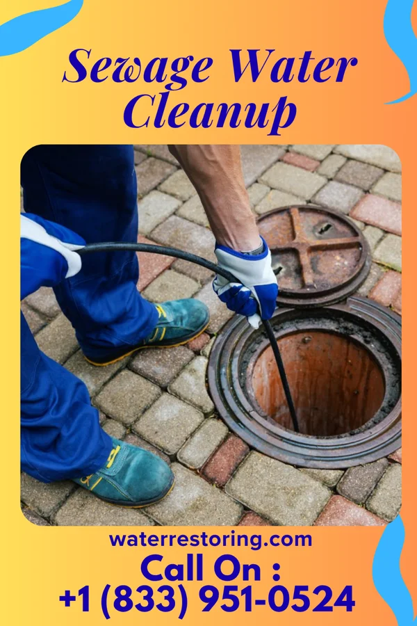 Sewage Water Cleanup in Sullivan's Island, SC