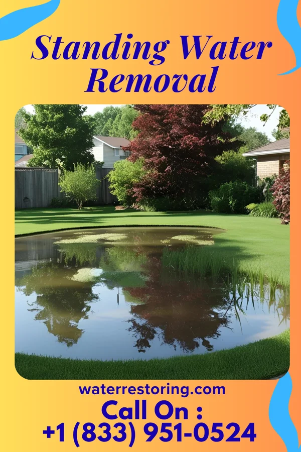 Standing Water Removal in Sullivan's Island, SC